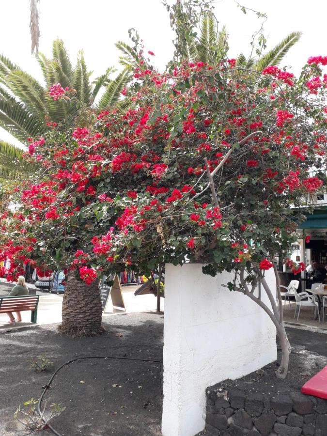 Sunny Self-Catering Apartment Costa Teguise, Lanzarote, Spain Экстерьер фото